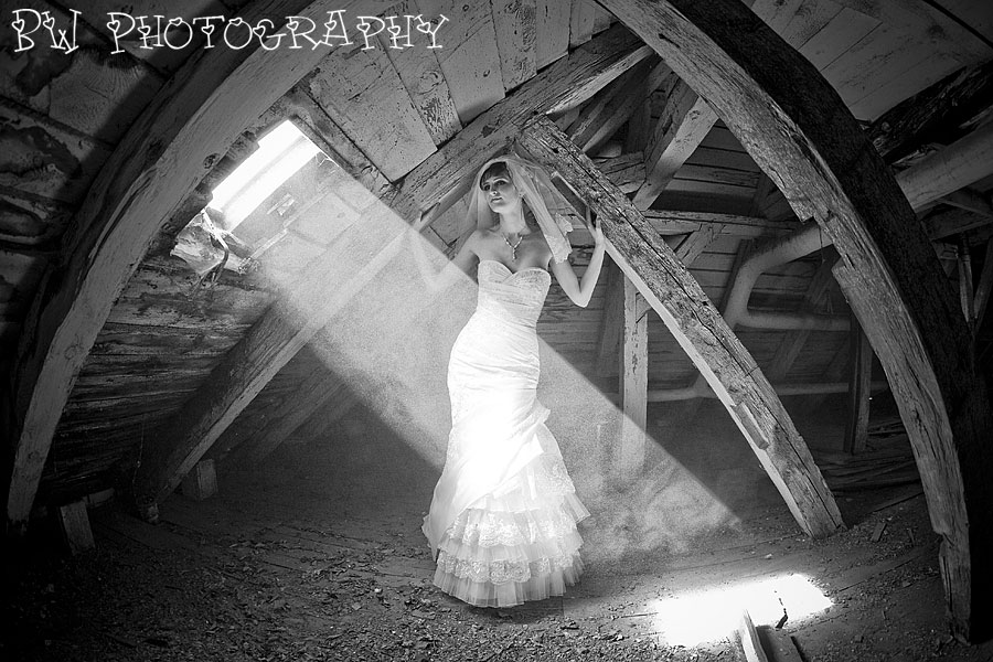 9trashthedress
