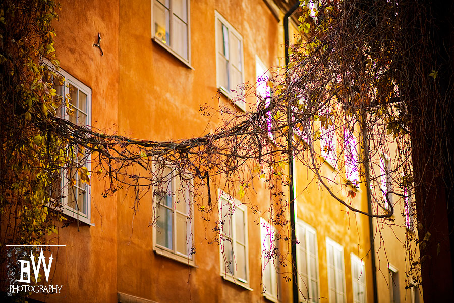 sztokholmbwphotography126